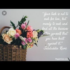 Meet your Posher, Vanessa